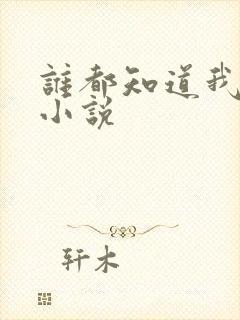 谁都知道我爱你小说