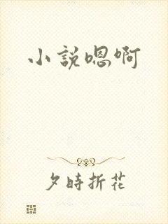 小说嗯啊