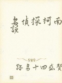 名侦探柯南h小说