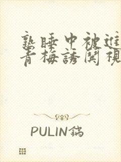 熟睡中被进了H青梅诱哄视频