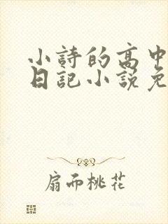 小诗的高中成长日记小说免费阅读