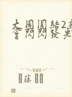 大团圆结2亲情会闪闪发光亲情会免费