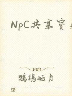NpC共享宝贝