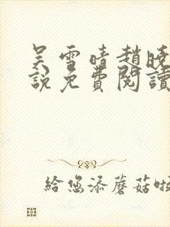 吴雪晴赵晓东小说免费阅读