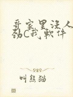 哥家里没人使点劲C我软件