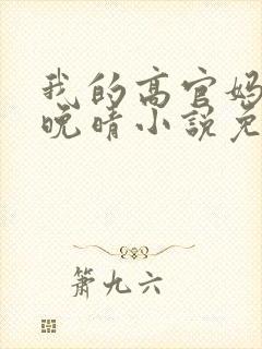 我的高官妈妈苏晚晴小说免费阅读