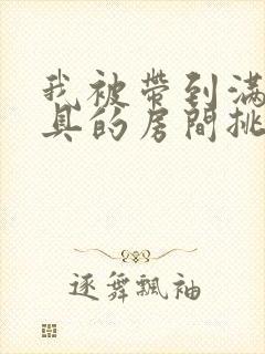 我被带到满是玩具的房间挑调作文