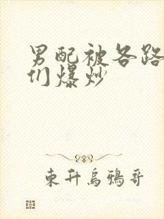 男配被各路大佬们爆炒