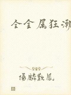 全金属狂潮小说