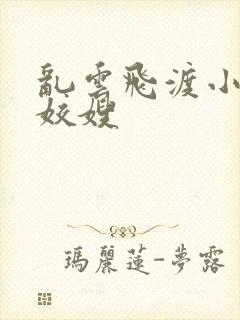 乱云飞渡小说之姣嫂