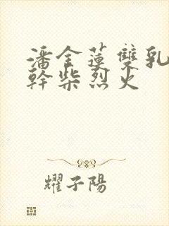 潘金莲双乳晃动干柴烈火