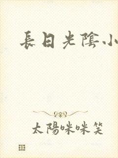 长日光阴小说