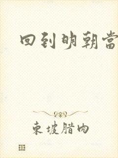 回到明朝当太子