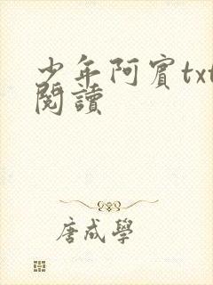 少年阿宾txt阅读