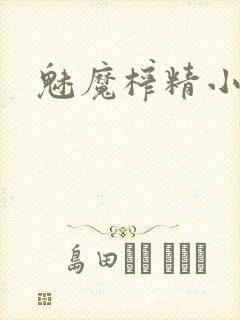 魅魔榨精小说