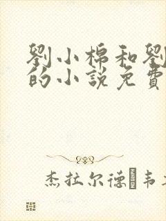 刘小棉和刘易文的小说免费阅读