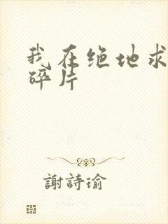 我在绝地求生捡碎片