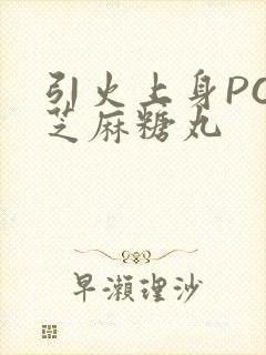 引火上身POP芝麻糖丸