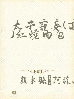 太子宠妾(高肉)红烧肉包