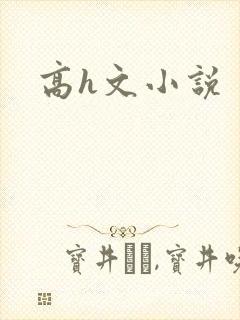 高h文小说