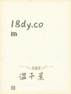 18dy.com