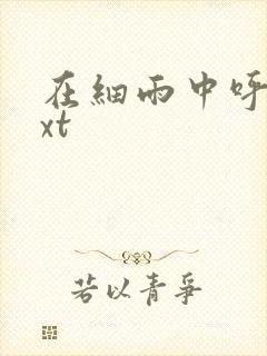 在细雨中呼喊txt