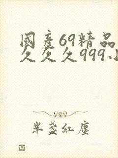 国产69精品久久久久999小说