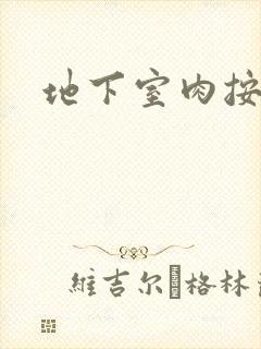 地下室肉按摩椅