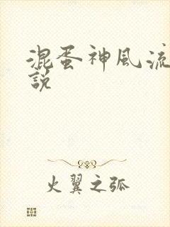混蛋神风流史小说