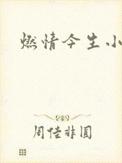 燃情今生小说
