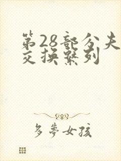 第28部分夫妇交换系列