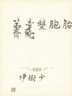 第章双胞胎姐妹齐飞