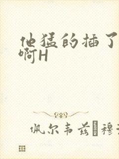 他猛的插了进去啊H