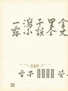 一泻千里金银花露小说全文免费阅读