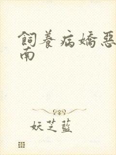 饲养病娇恶龙指南