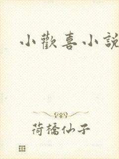 小欢喜小说