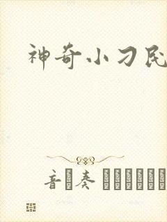 神奇小刁民