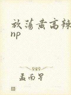 放荡黄高辣h文np