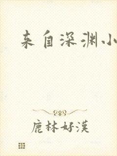 来自深渊小说