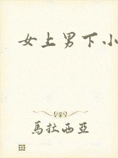 女上男下小说