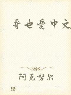 哥也爱中文
