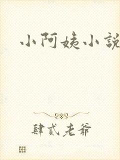 小阿姨小说