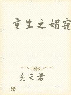 重生之媚宠系统