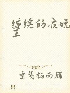 缠绕的夜晚双男主