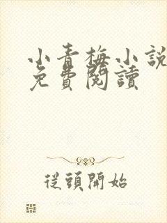 小青梅小说全文免费阅读