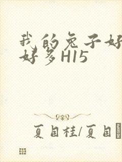 我的兔子好软水好多H15