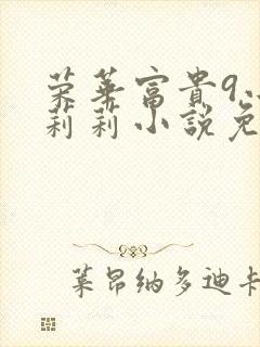 荣华富贵9小王莉莉小说免费阅读