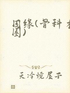 因缘(骨科 校园)