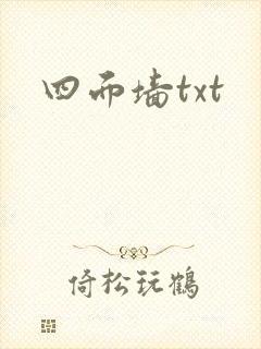 四面墙txt
