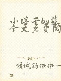 小瞎子by苏软全文免费阅读